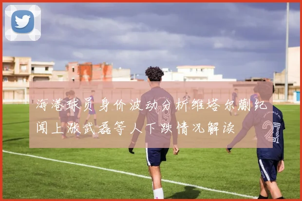 海港球员身价波动分析维塔尔蒯纪闻上涨武磊等人下跌情况解读