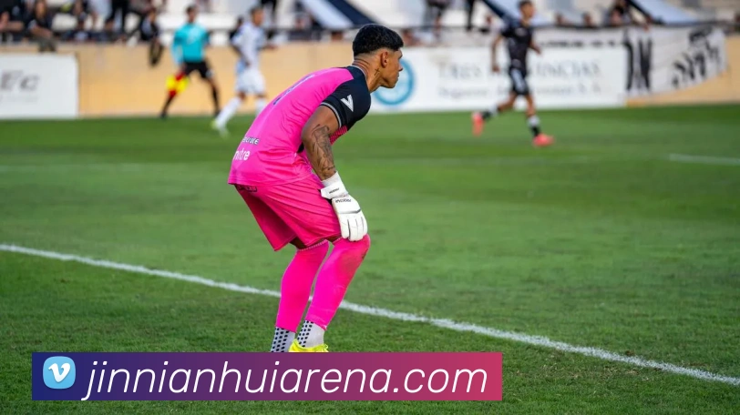 App Interface Preview